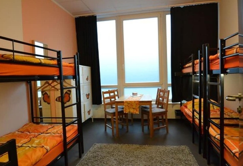 Arena Hostel & Monteurzimmer