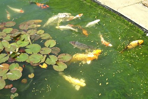 민박 Grimston House