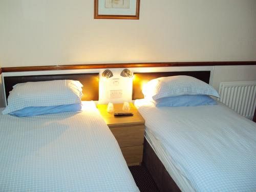 住宿加早餐  The Brighton