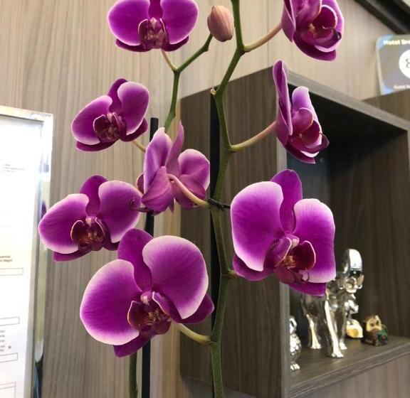 酒店 Brenta Milano