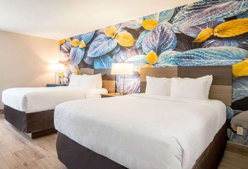 فندق Clarion Pointe South Boston  Danville East