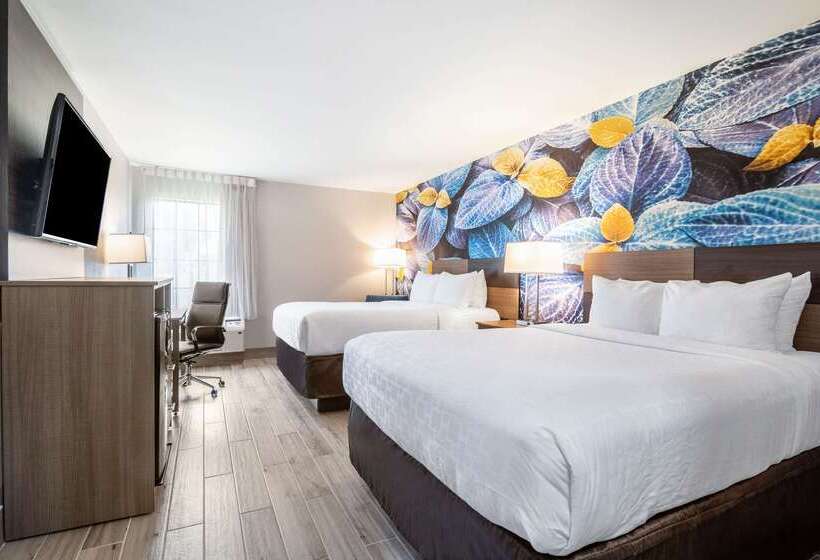 فندق Clarion Pointe South Boston  Danville East