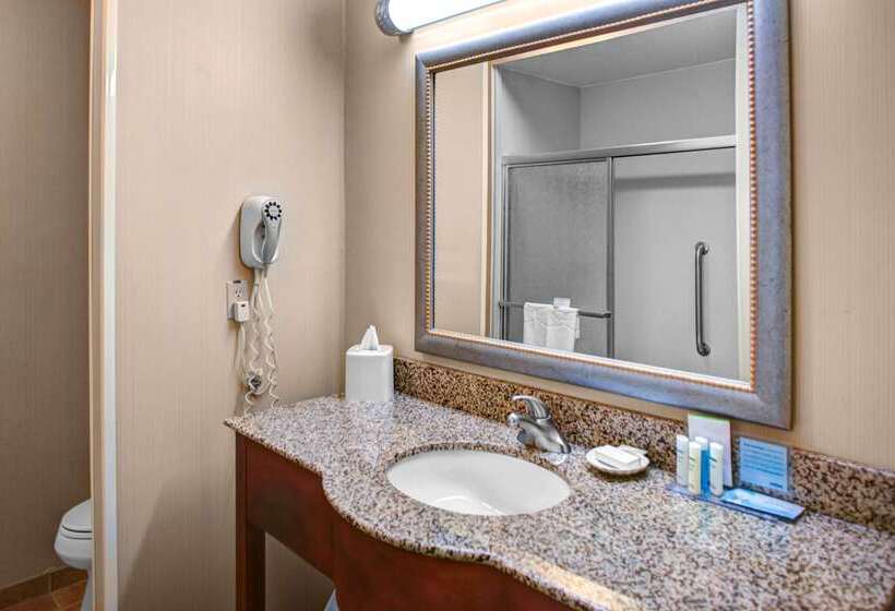 ホテル Hampton Inn Coldwater