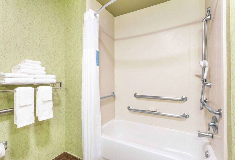 בית מלון כפרי Hampton Inn West Palm Beachlake Worthturnpike