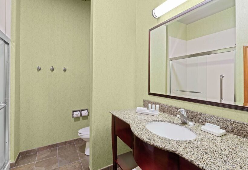 فندق Hampton Inn West Palm Beachlake Worthturnpike