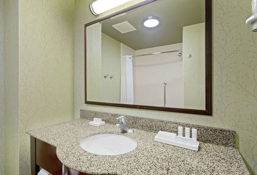 בית מלון כפרי Hampton Inn West Palm Beachlake Worthturnpike