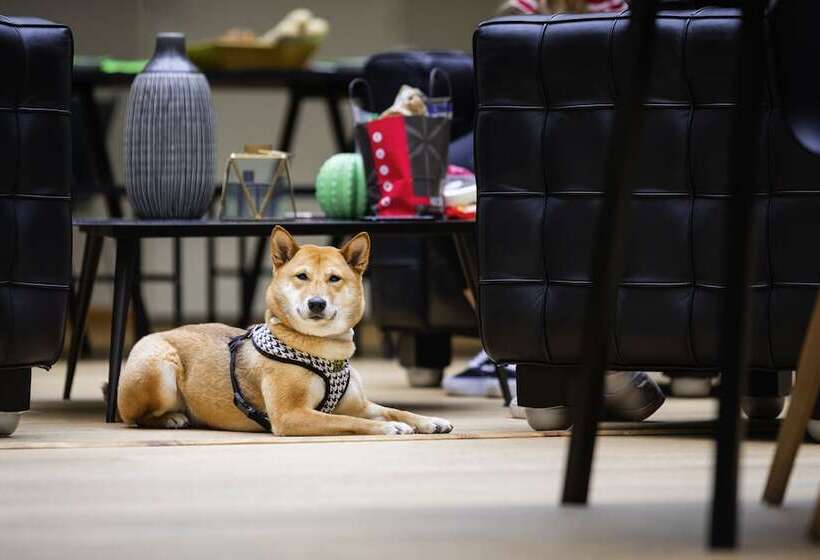 هتل Ibis Styles Calais Centre