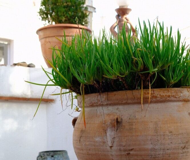 فندق La Caleta De Tamariu