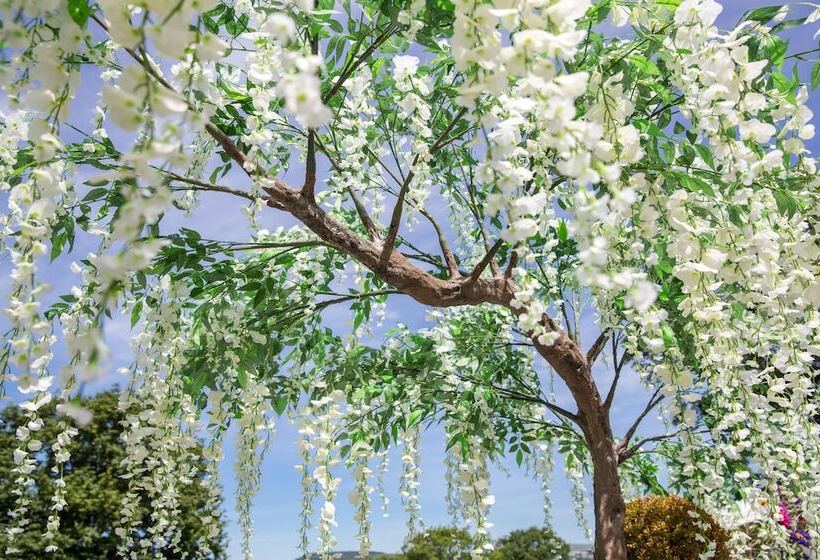 Отель Llechwen Hall