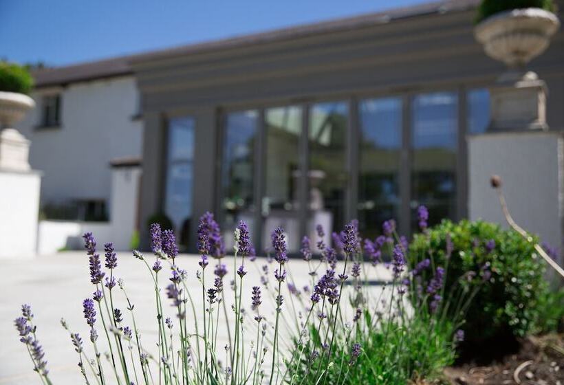 Отель Llechwen Hall