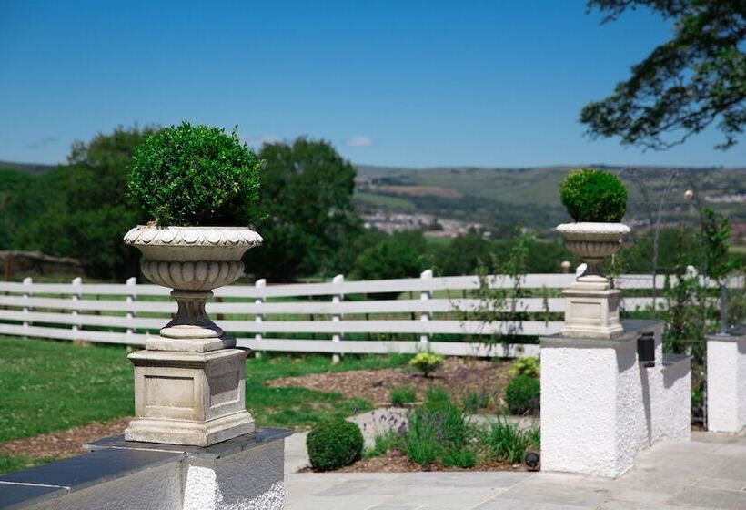 Отель Llechwen Hall