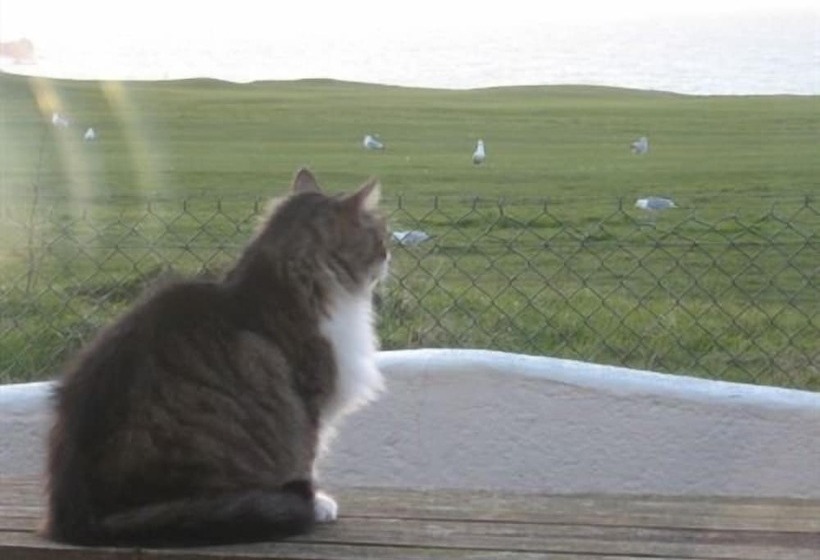 Отель Longbeach Adults Only