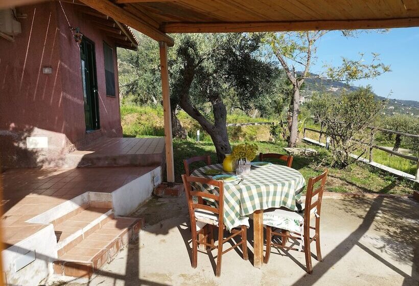 Сельский отель Agriturismo Monte Alto