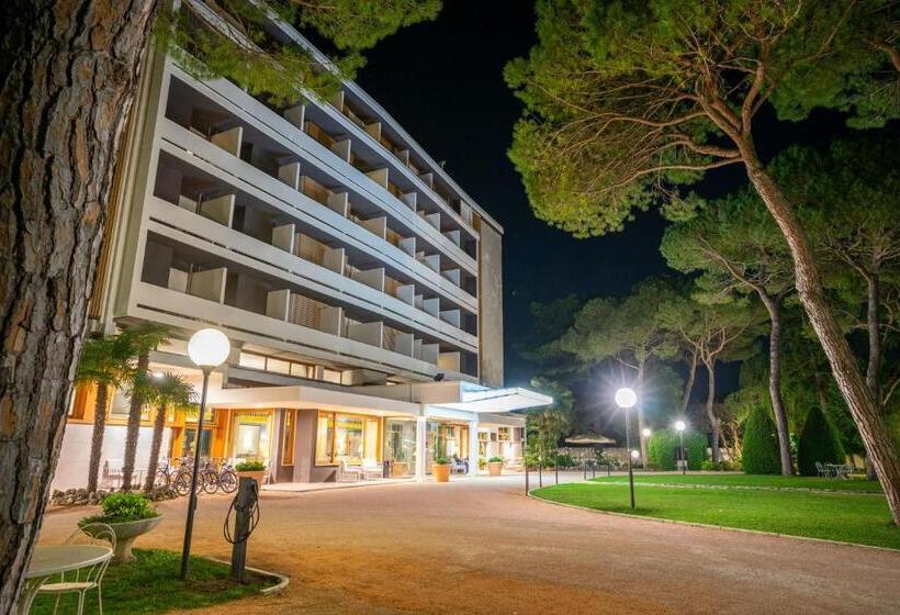 فندق Terme Delle Nazioni