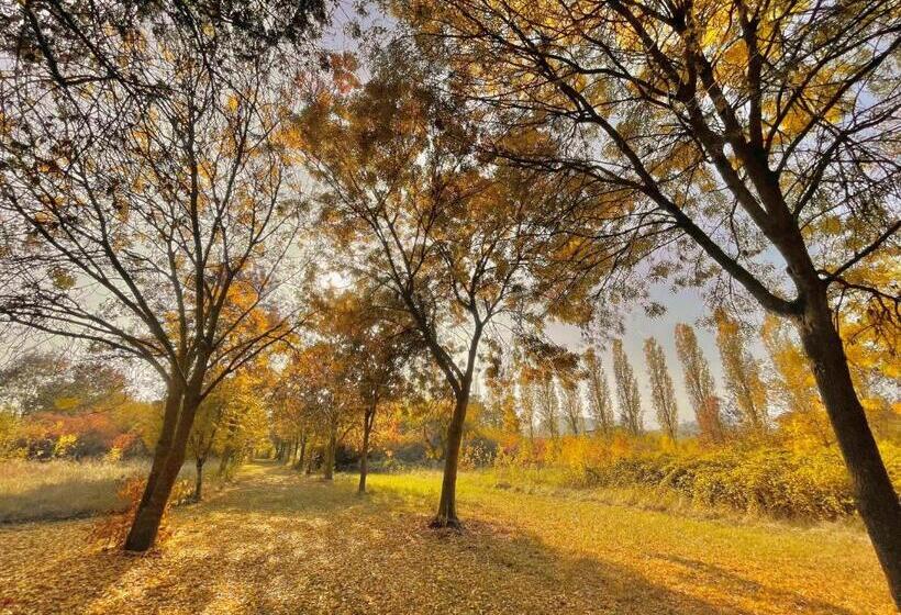 فندق Terme Delle Nazioni