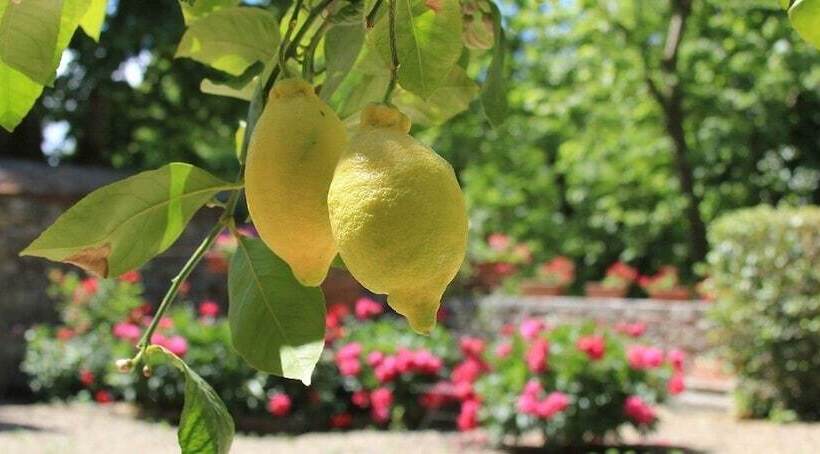 Residenza D Epoca Il Cassero