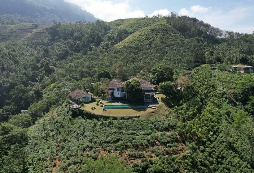 فندق Leaf Olu Ella