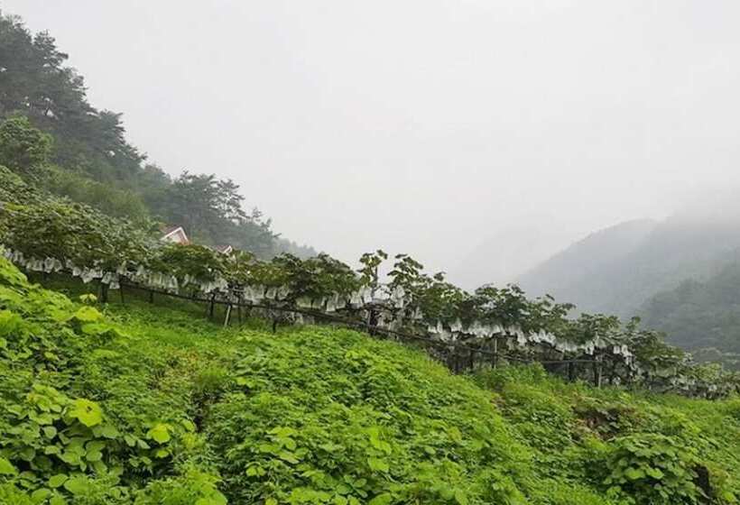 בית מלון כפרי Yeongwol Donggang Castle Pension