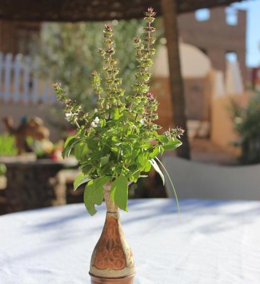 مبيت وإفطار Riad Hiba