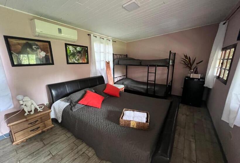 酒店 Monkey Lodge Panama