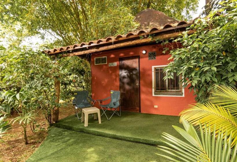 酒店 Monkey Lodge Panama