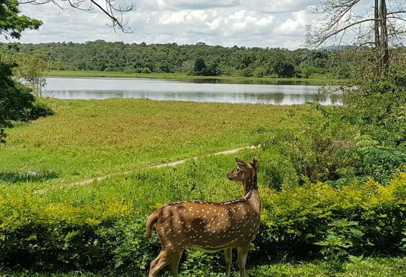 פנסיון Blue Lake Ridge