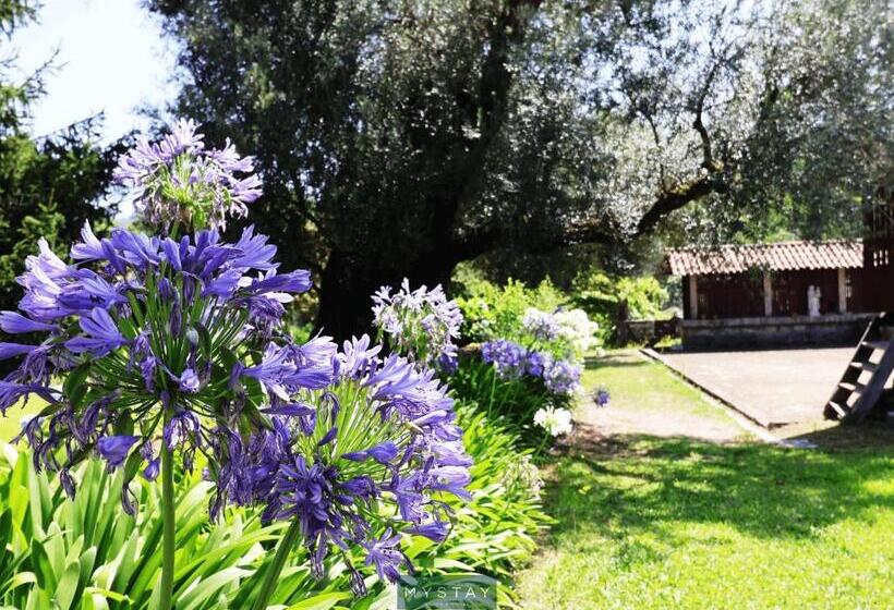 Пансион Casa De Abbades