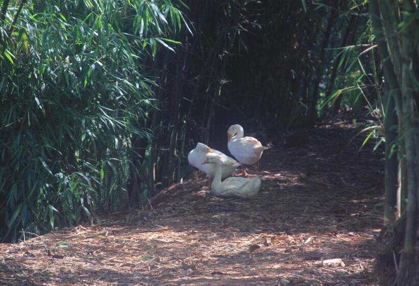 Wayanad Village Resort