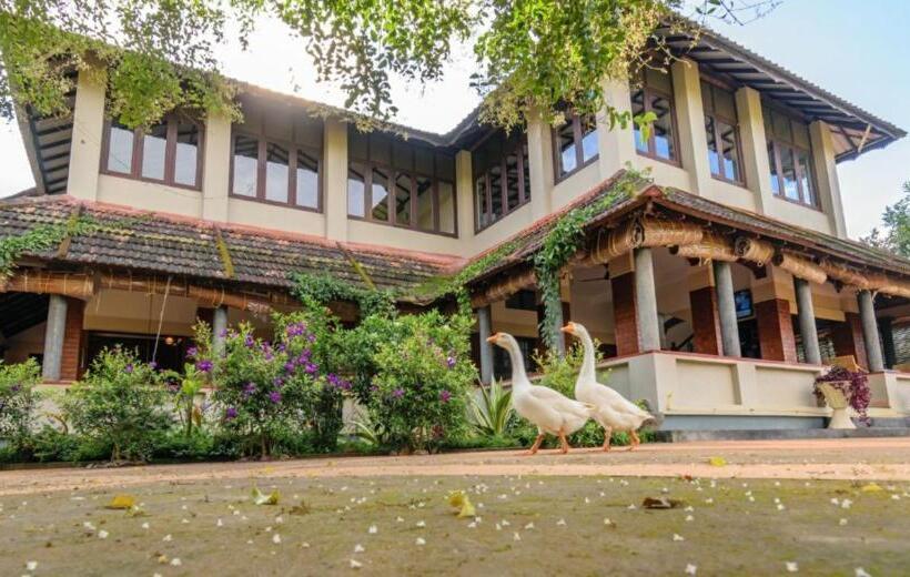 Wayanad Village Resort