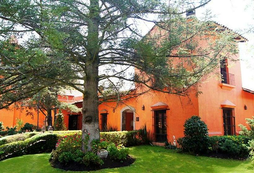 فندق Hacienda San Martin