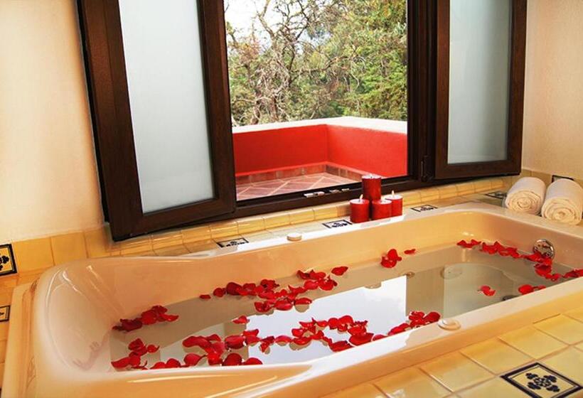 فندق Hacienda San Martin