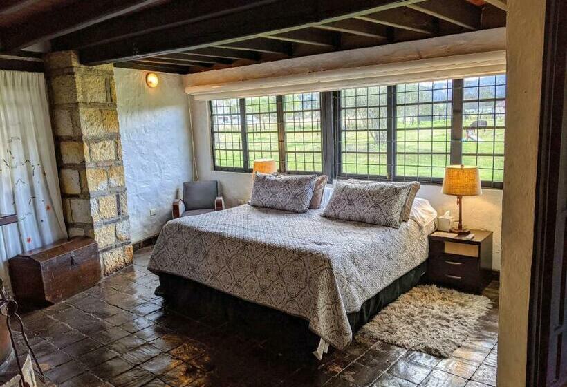 Отель Posada Cafe La Huerta