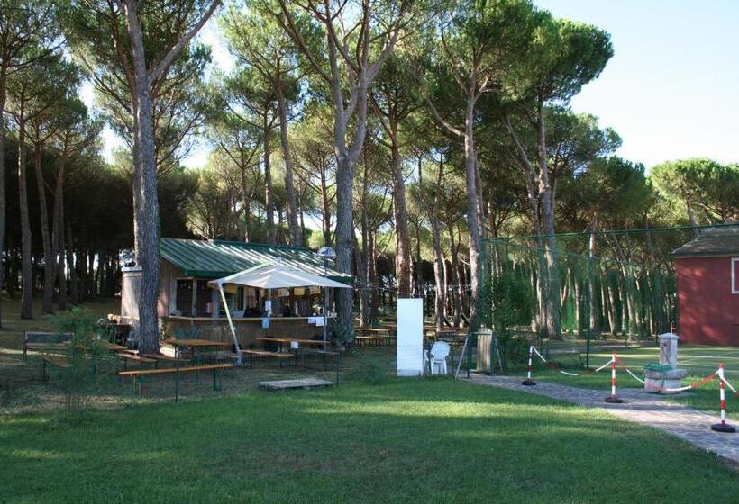 ホテル Villa Dei Pini