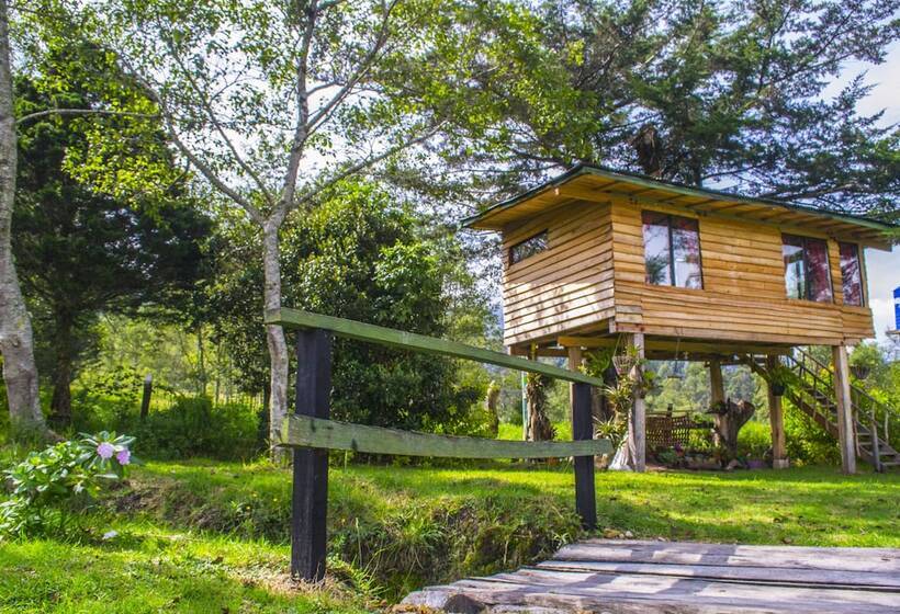 פנסיון Monte Verde Cabañas & Camping