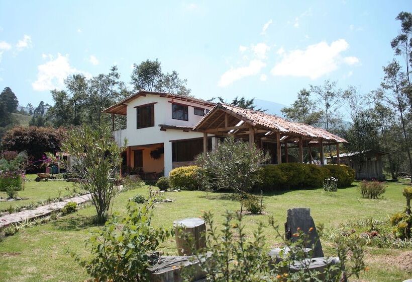 פנסיון Monte Verde Cabañas & Camping