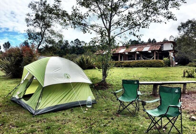פנסיון Monte Verde Cabañas & Camping