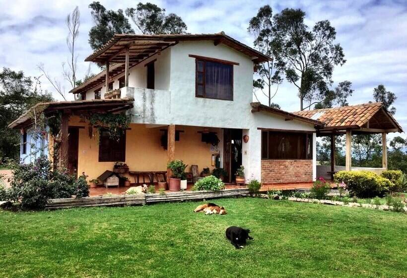 פנסיון Monte Verde Cabañas & Camping