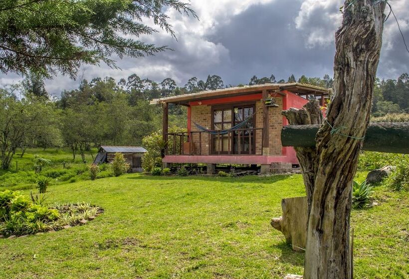 פנסיון Monte Verde Cabañas & Camping