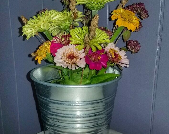 Seaweed And Sod Farm Bed & Breakfast