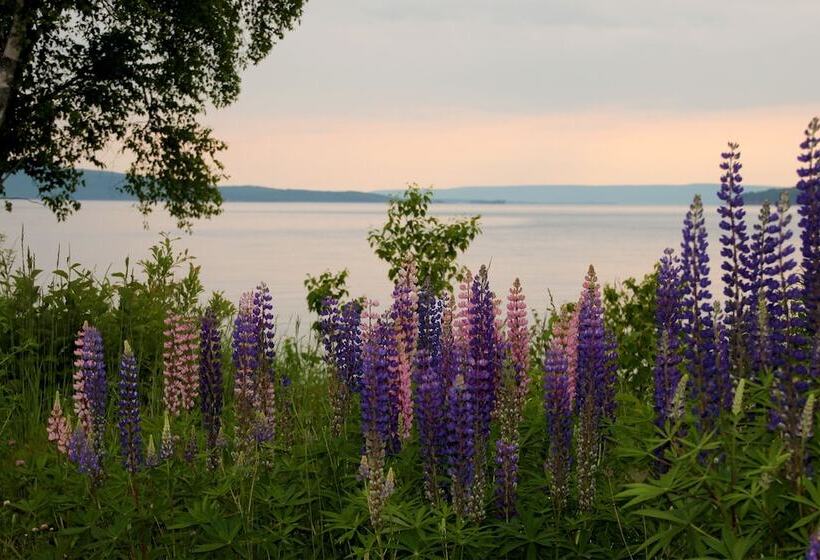 Seaweed And Sod Farm Bed & Breakfast