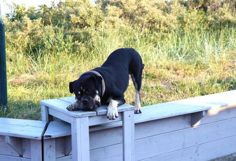 هتل Upstalsboom Langeoog