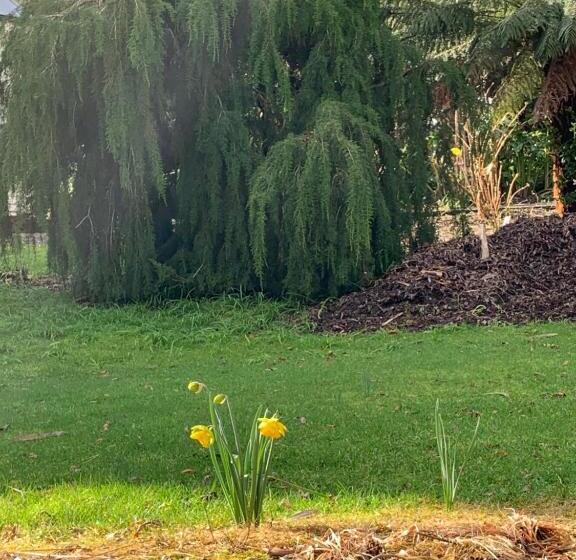 ベッドアンドブレックファースト Harrison House