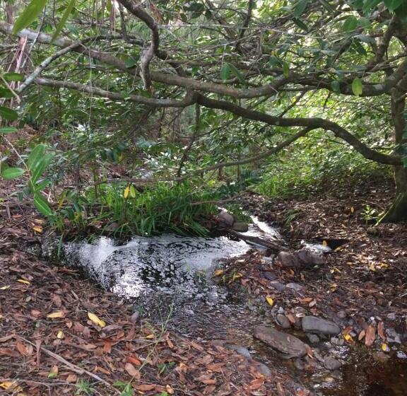 ベッドアンドブレックファースト Harrison House