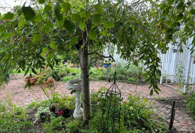 צימר Ivy May Cottage