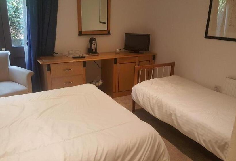 فندق صغير The Plough Inn