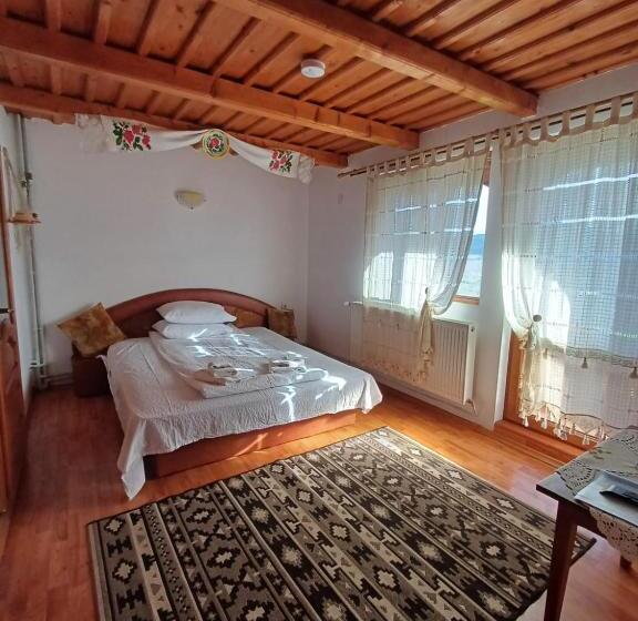 Pensiunea Ileana Teleptean