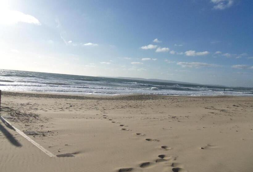 مبيت وإفطار Alexander Lodge