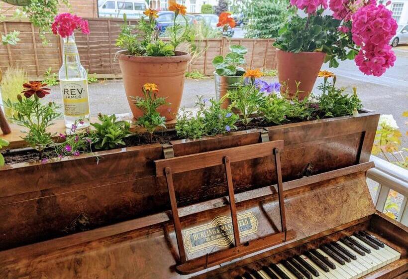 مبيت وإفطار Alexander Lodge