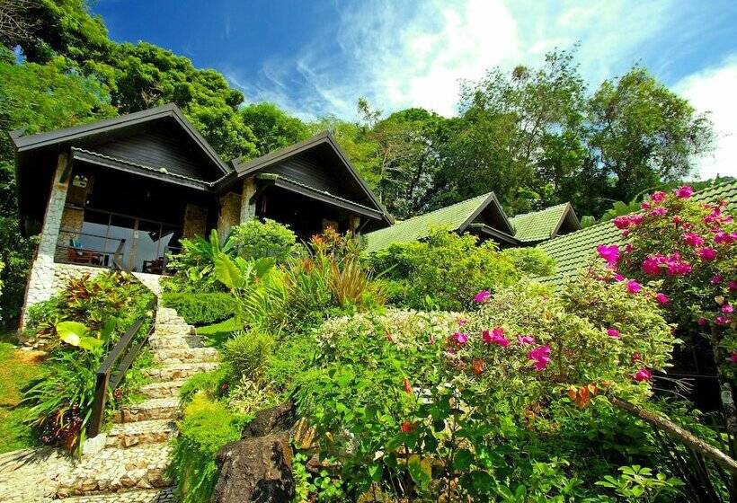 Boomerang Village Resort Kata
