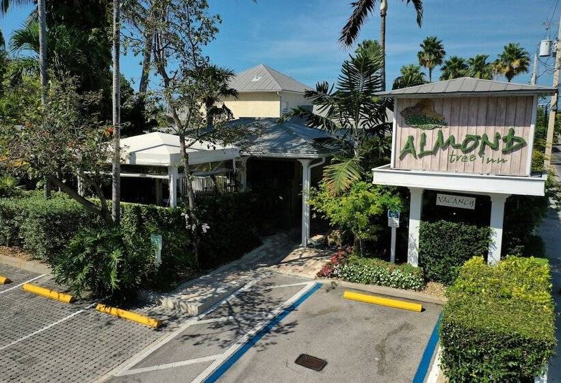 فندق Almond Tree Inn  Adults Only